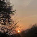 개차반캠핑장 이미지