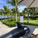 뉴월드당구장 | 푸꾸옥 뉴월드 리조트 예약 가든풀빌라 수영장 조식 리뷰