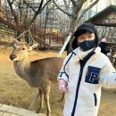 H1996 이미지