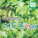 해살이마을 이미지