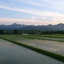 김영수행정사사무소 이미지