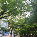 고잔법조빌딩앞 이미지