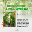 정읍사 문화공원 무장애나눔길 조성 네이버블로그
