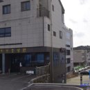 열대어(관상어) 기르기 입문 | 울산 열대어 전문 수족관 &#39;코리스아쿠아&#39; 방문 후기