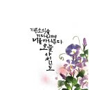글씨테라피, 캘리그라피 이미지
