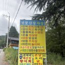 바다산장민박 | 양산 계곡뷰 백숙 맛집 벚꽃산장