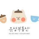 유성부동산중개사무소 | #덕명네거리원룸 #구암동원룸 #한밭대원룸 #덕명동원룸 - 원룸 전문 유성부동산중개사무소