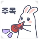 복싱멘토스쿨 이미지