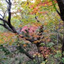 서봉에너지 이미지