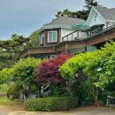 별난해변펜션 | 인천섬여행 자월도 애견동반 가능한 로뎀하우스 펜션 : 바로 앞 해변에서 해루질 가능한 숙소!