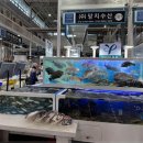 수산농수산물