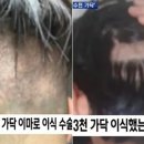 맨시크 이미지