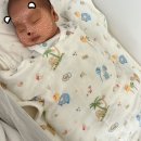 행복이불 | 머미쿨쿨 좁쌀이불 모로반사 방지 육아템 신생아 사용후기 사용법