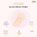 우리울 작은도서관 | [임신35주] 이대서울병원 진료 8️⃣ 태동검사, 르베르쏘 산전마사지, 토익시험