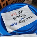 화신로8길1-17 | 양산 물금맛집 줄서서먹는 옥천우리밀면 솔직후기
