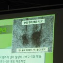 레이호 이미지