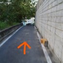 축제코스 이미지