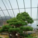 우목농원 이미지