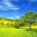 스위스보청기 이미지