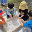 (주)이오바이오 이미지