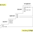 병원인력지휘 사례연구(개인별 보고서)-(화6 수 56) 이미지