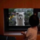 냥이 주택 이미지