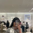 디올세탁소 | 디올 미차스카프_ 구매 후기, 세탁법