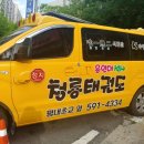 용인대 청룡 태권도 이미지