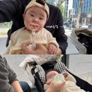 바우트(baut) - 594772 | 바우트(baut)