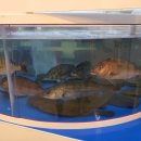 해동수산회센터 이미지