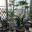 베네스타공인중개사 이미지