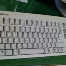 디티코리아 이미지