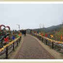허앤리병원 버스정류소 이미지