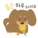 요아정전주