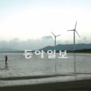 모래개해변 동아일보