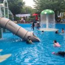 원지어린이공원 이미지