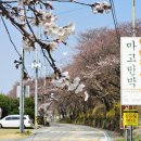 구례의길(섬진강길) 티스토리