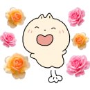 프레쉬복스 이미지