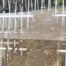 코보식당 | [하동 쌍계사 맛집] 참게 메기탕이 푸짐한 코보네맛집 후기