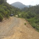 번성농장 이미지