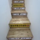 벨라 헤어 (Bella)