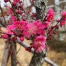 경일중학교 이미지