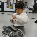 경희대신성태권도 이미지