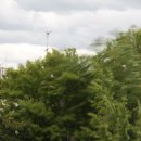 명지바람 이미지