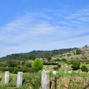 효자공원봉안원 이미지