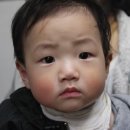해울떡