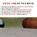 오스트리아 오팔 원석과 이태리 말 조각 이미지