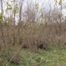 이남 마을회관 이미지