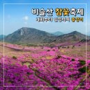 에스엠푸드 (주) 화전 수성점 | 비슬산 참꽃축제 2026 일정 개화 등산코스 버스