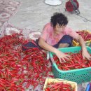 명관농장 이미지